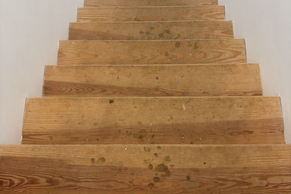 deck-and-fence-painting-service-in-winchester-va